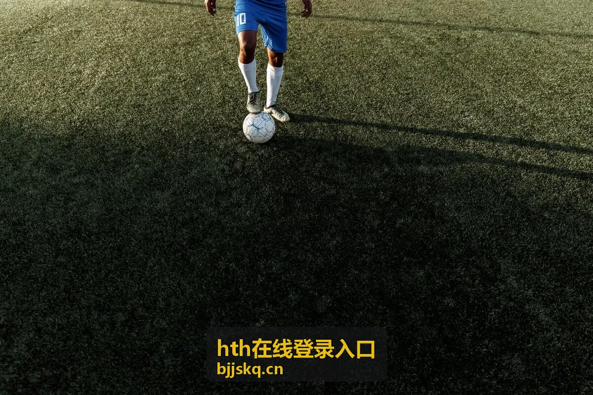hth在线登录入口验证码接收问题封面